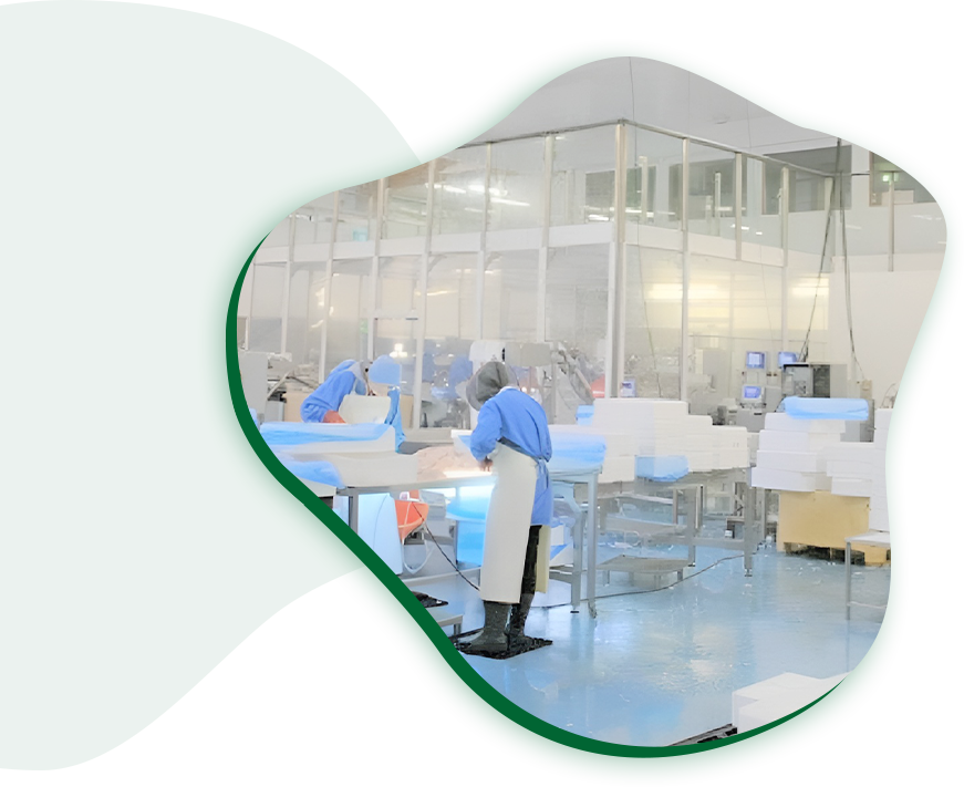 Professional Safety Grade Food Hersteller