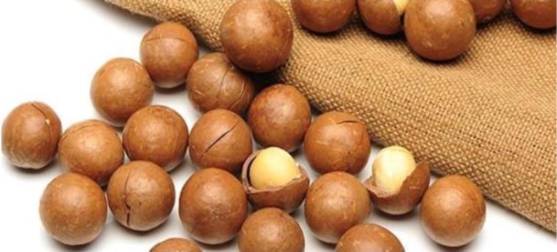 Macadamia -Nüsse